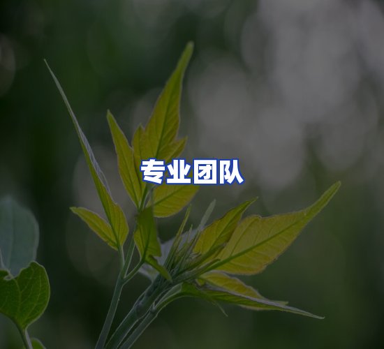 现代化资料管理中心
